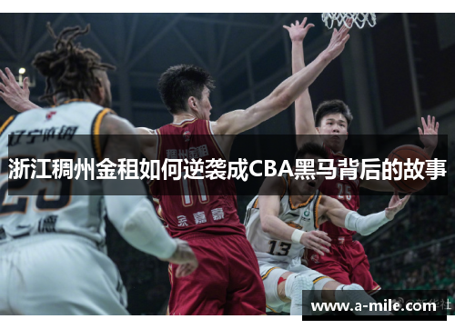 浙江稠州金租如何逆袭成CBA黑马背后的故事