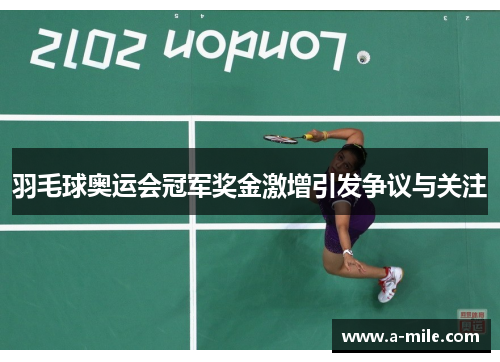 羽毛球奥运会冠军奖金激增引发争议与关注